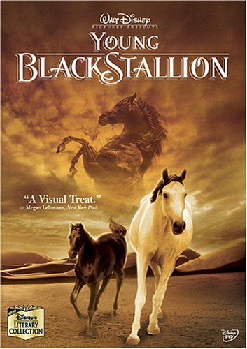 Young Black Stallion/Young Black Stallion@Ws@Nr